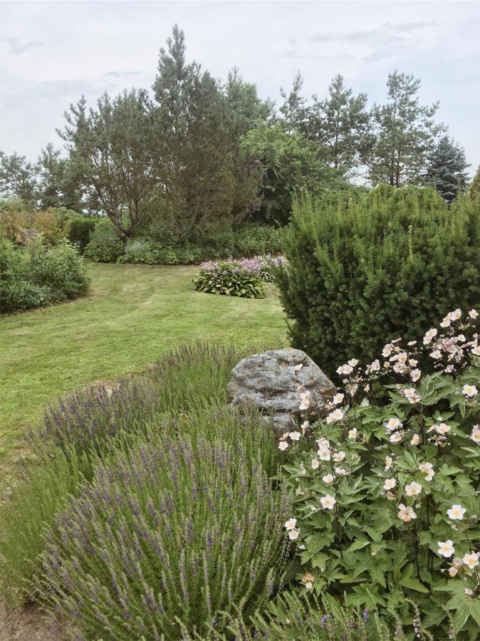 Namelis Atokvepis Villa Ciuineliai Buitenkant foto